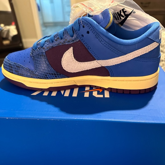 NIB - Nike Dunk Low SP DH6508-400 - Picture 10 of 11